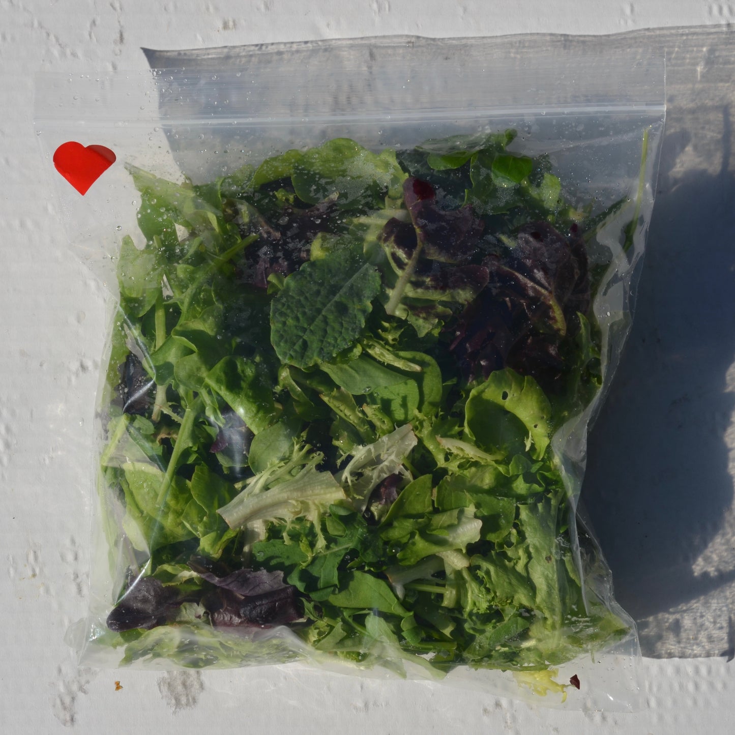 Organic Hearty Salad Mix