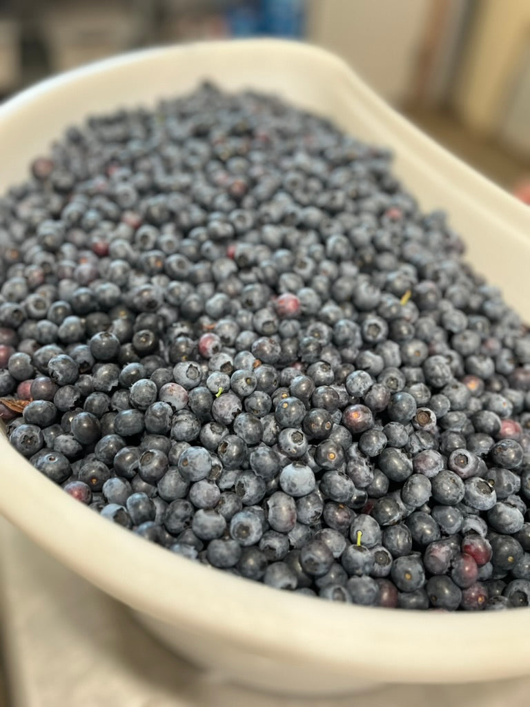 Blueberries (pint)