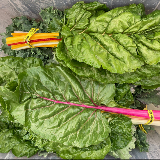 Organic Rainbow Chard