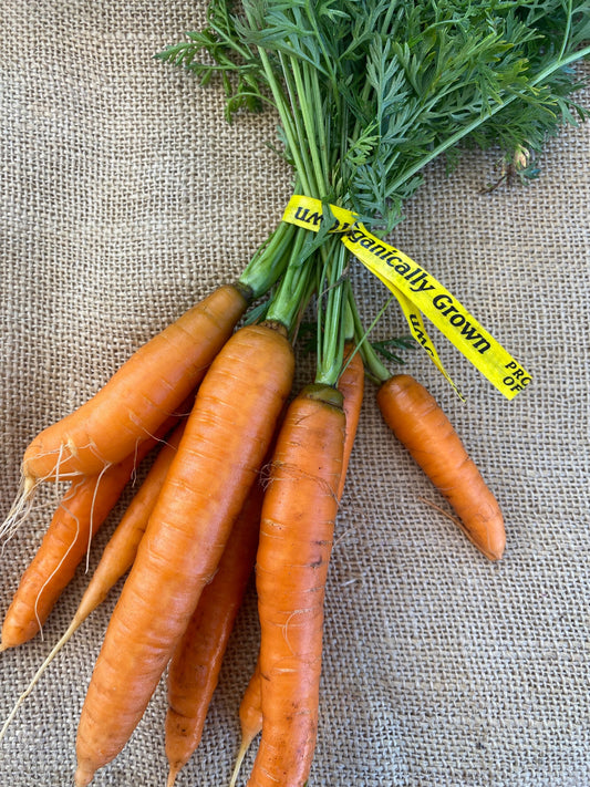 Organic Carrots (bunch)