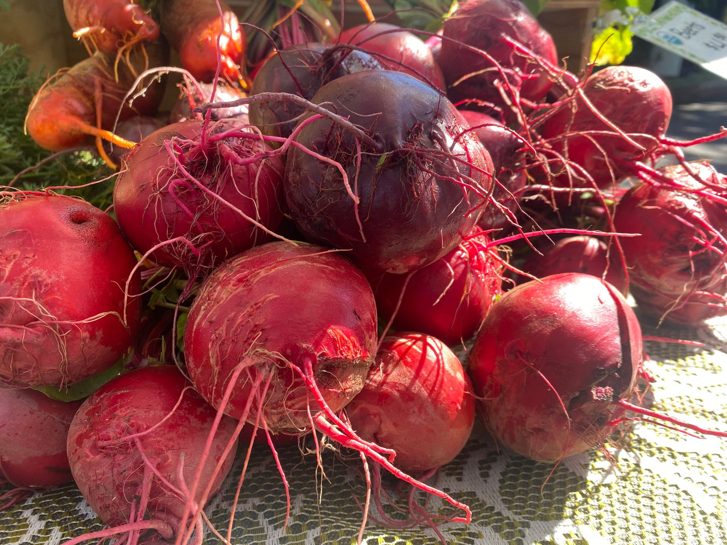 Organic Beets (bunch)