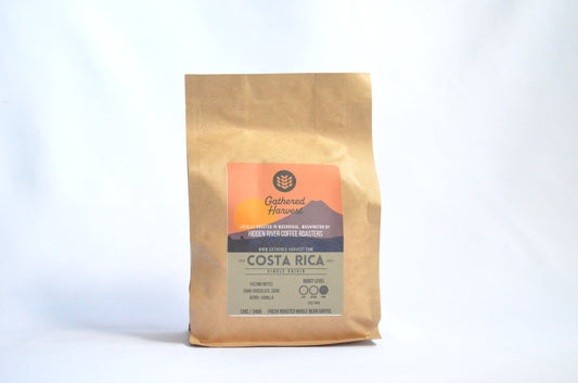 Hidden River Coffee Roasters - Costa Rica (12 oz)