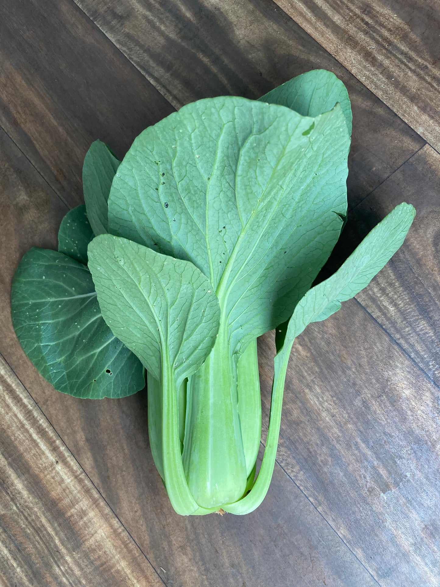 Organic Bok choy