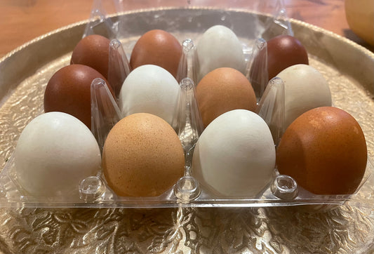 Chicken Eggs