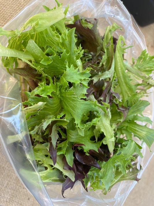 Organic Simple Salad Mix