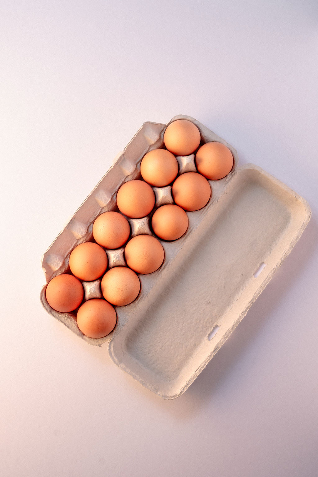 Chicken Eggs (1 dozen)