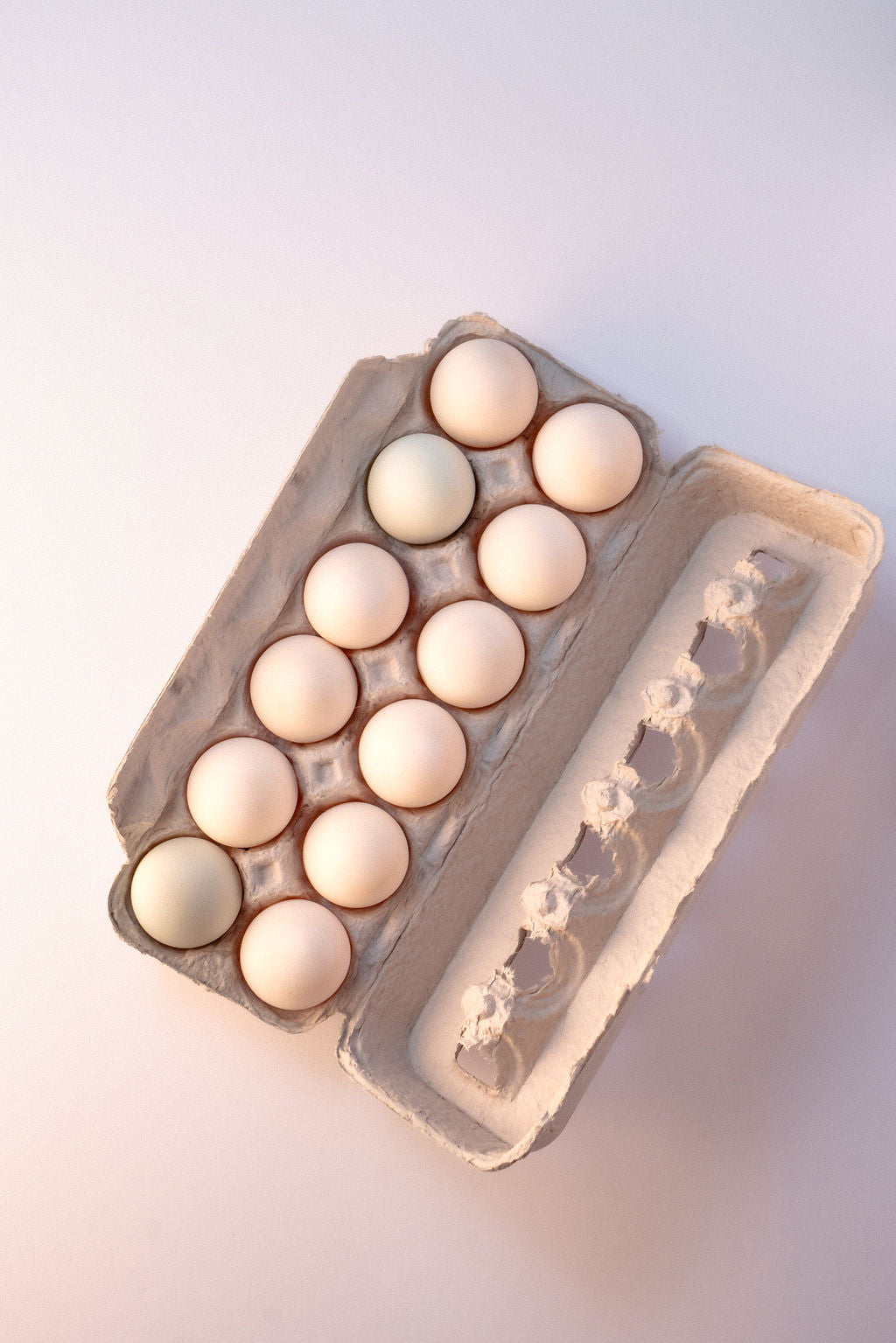 Duck Egg (1 dozen)