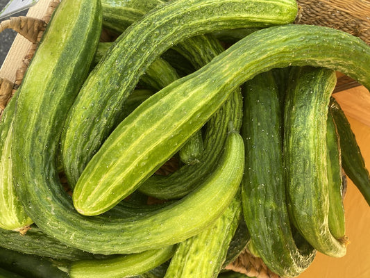 Chinese Long Cucumbers (2 lb)
