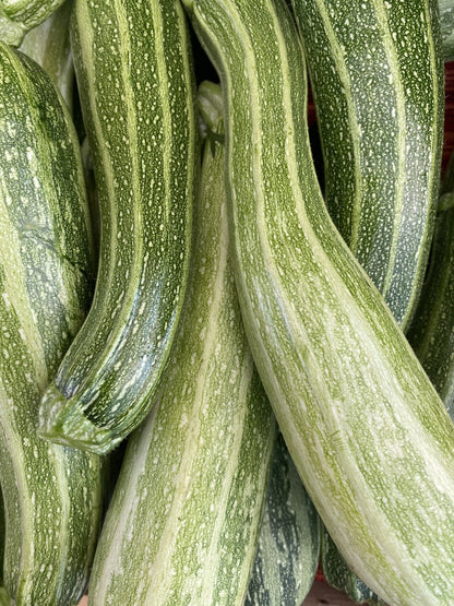 Organic Striped Zucchini (2lb)