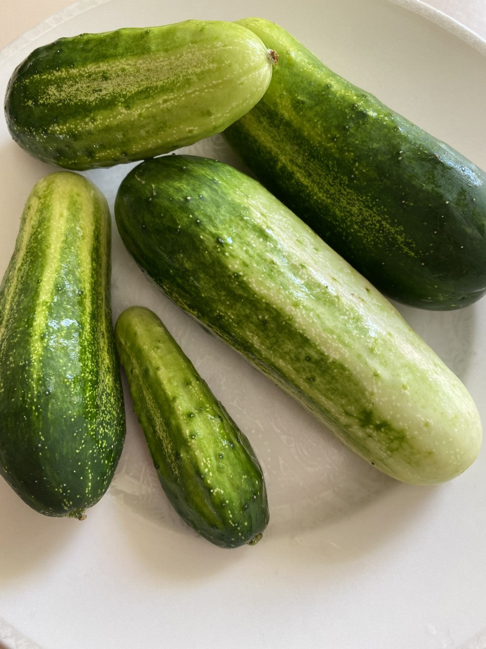 Pickling Cucumbers (2 lb)