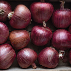 Organic Red Onions (2lb)