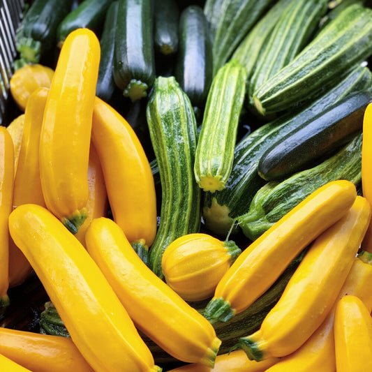 Organic Striped Zucchini (2lb)