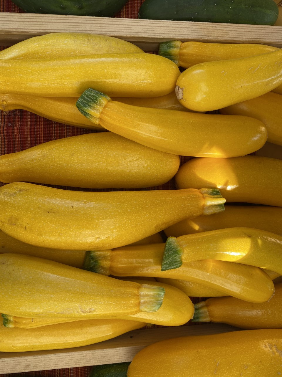 Organic Yellow Zucchini (2lb)