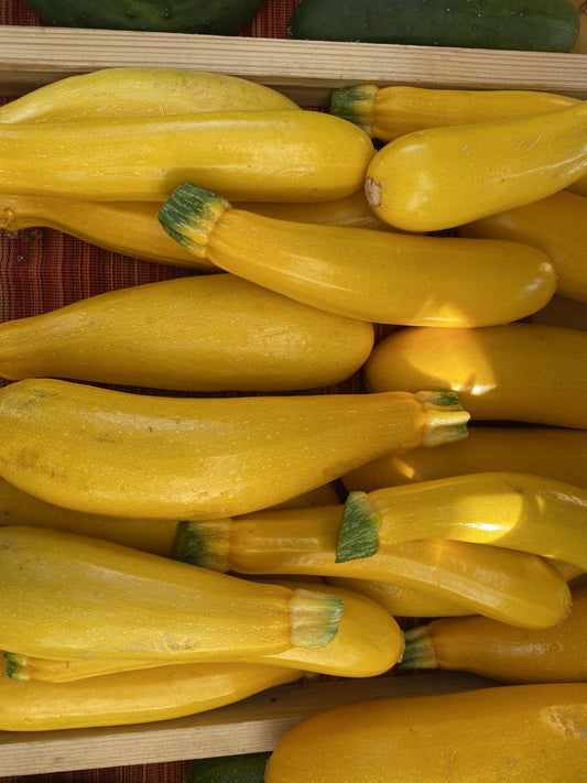 Organic Yellow Zucchini (2lb)